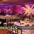 Uplighting Econo Light Package Rental