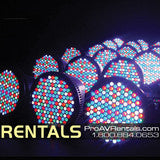 Uplighting Econo Light Package Rental
